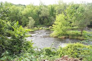 gal/Agawam Canal and the Southworth Company/tn_DCP_3203.jpg
